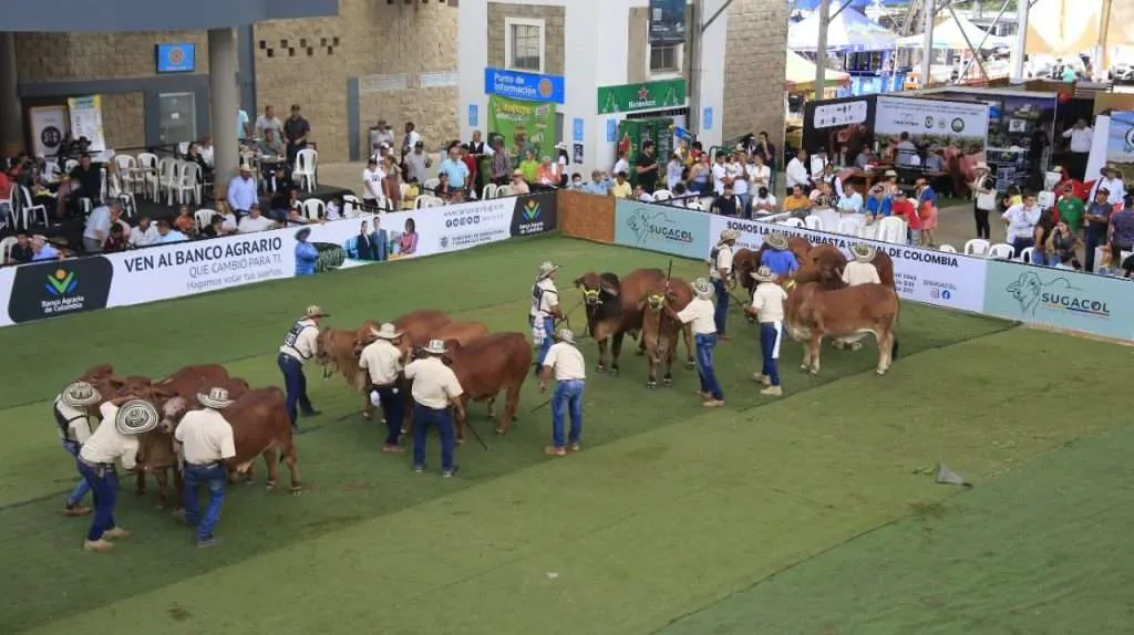 Feria-Ganadera-Cenfer-1024x574